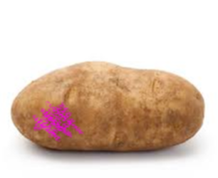 potato defect